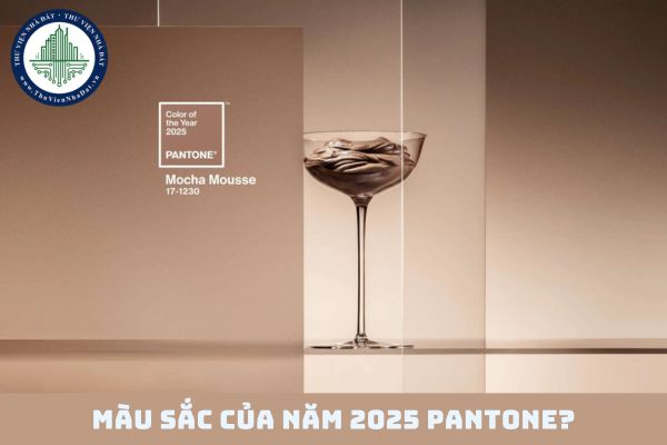 Màu sắc của năm 2025 pantone? Màu của năm 2025 là màu gì? (hình từ internet)