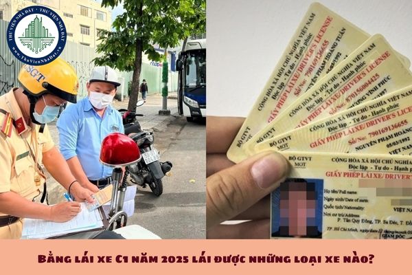 Bằng lái xe C1 năm 2025 lái được những loại xe nào? Bằng lái xe C1 có thời hạn bao lâu? (hình từ internet)