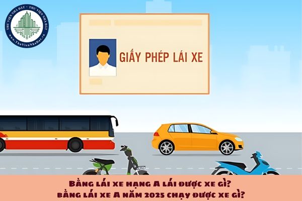 Bằng lái xe hạng A lái được xe gì? Giấy phép lái xe A năm 2025 chạy được xe gì? (hình từ internet)