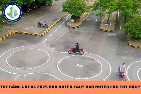 Thi bằng lái A1 2025 bao nhiêu câu? Bao nhiêu câu thì đậu bằng lái A1? (hình từ internet)