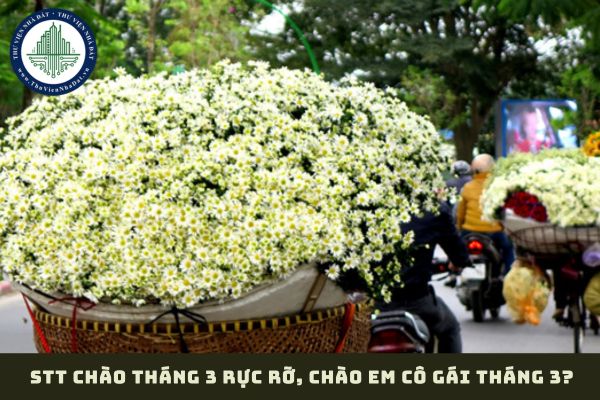 STT chào tháng 3 rực rỡ, chào em cô gái tháng 3? Tổng hợp STT chào tháng 3 2025 ngắn gọn? (hình từ internet)