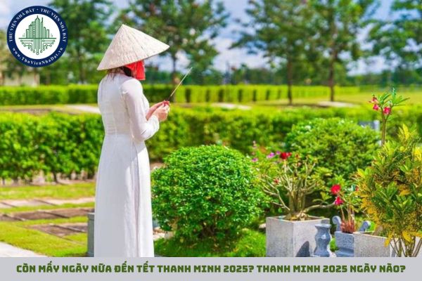 Còn mấy ngày nữa đến Tết Thanh Minh 2025? Thanh minh 2025 ngày nào? (hình từ internet)