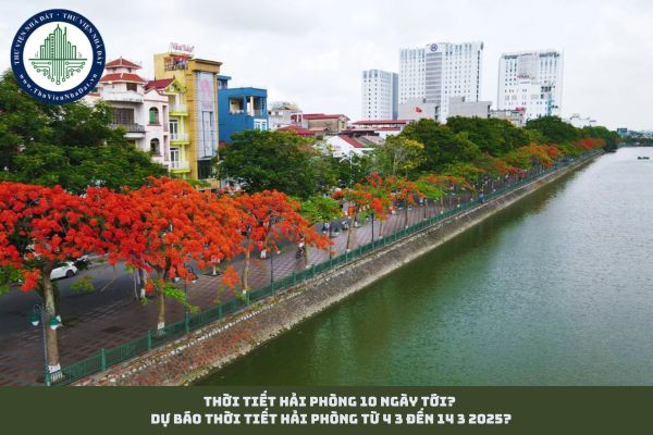 Thời tiết Hải Phòng 10 ngày tới? Dự báo thời tiết Hải Phòng từ 4 3 đến 14 3 2025? (hình từ internet)