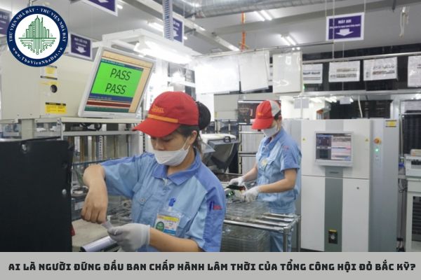 Ai là người đứng đầu Ban chấp hành lâm thời của Tổng Công Hội đỏ Bắc Kỳ?