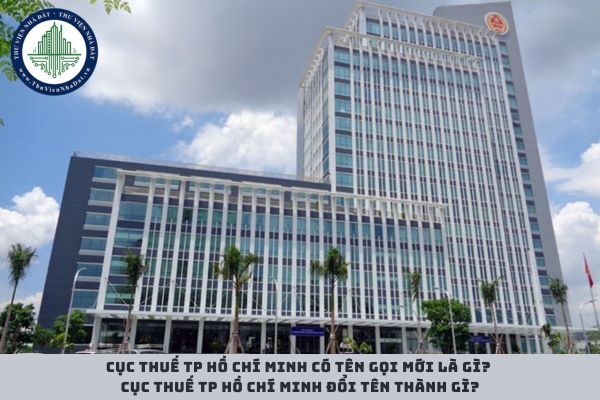 Cục Thuế TP Hồ Chí Minh có tên gọi mới là gì? Cục Thuế TP Hồ Chí Minh đổi tên thành gì? (hình từ internet)