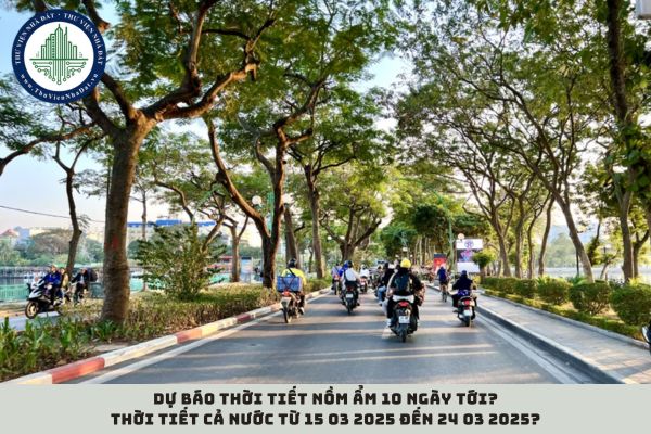 Dự báo thời tiết nồm ẩm 10 ngày tới? Thời tiết cả nước từ 15 03 2025 đến 24 03 2025? (hình từ internet)