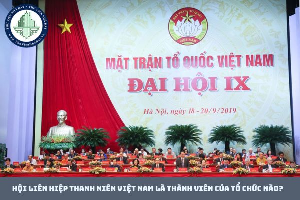 Hội Liên hiệp thanh niên Việt Nam là thành viên của tổ chức nào?