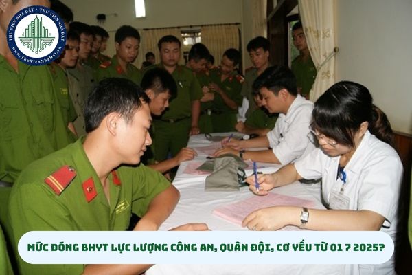 thuviennhadat.vn