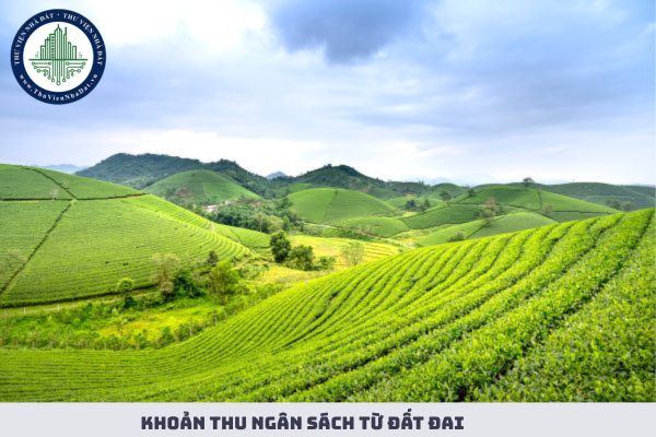 Cập nhật các khoản thu ngân sách từ đất đai mới nhất theo Luật Đất đai 2024 mới nhất? Diện tích đất tính tiền sử dụng đất thế nào?