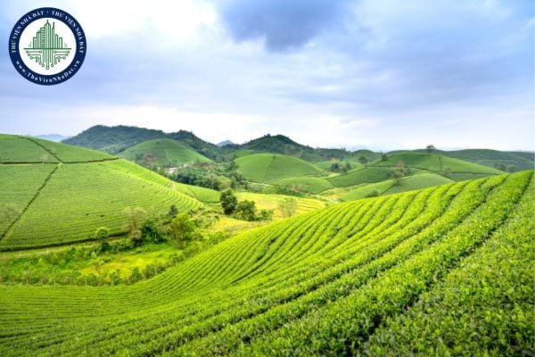 Luật Đất đai 2024 quy định ai là người chịu trách nhiệm trước Nhà nước đối với đất tín ngưỡng chưa được giao quản lý, sử dụng?