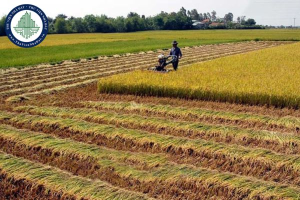 Diện tích đất tính tiền sử dụng đất được quy định thế nào? Căn cứ tính tiền sử dụng đất, cho thuê đất theo Luật Đất đai 2024 là gì?