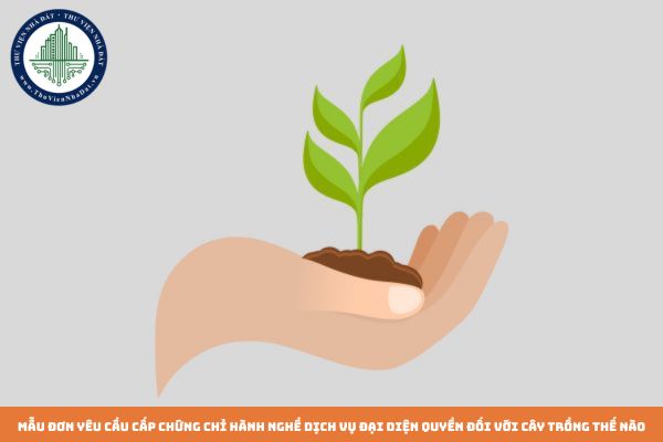 Mẫu đơn yêu cầu cấp chứng chỉ hành nghề dịch vụ đại diện quyền đối với cây trồng thế nào? Tải mẫu đơn về ở đâu?