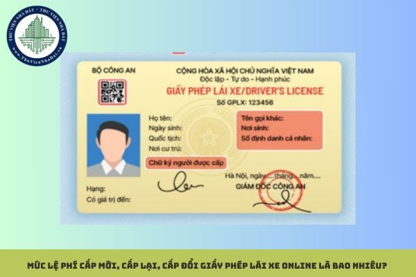 Mức lệ phí cấp mới, cấp lại, cấp đổi giấy phép lái xe online là bao nhiêu? Giấy phép lái xe có thời hạn bao gồm các hạng nào?