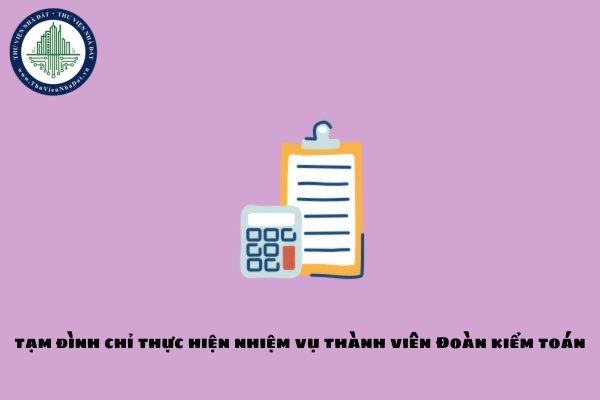 11 Nhiệm vụ Tổ trưởng Tổ kiểm toán từ 20/8/2024 theo Quyết định 1495 thế nào? Tổ trưởng Tổ kiểm toán có trách nhiệm giải trình việc gì?