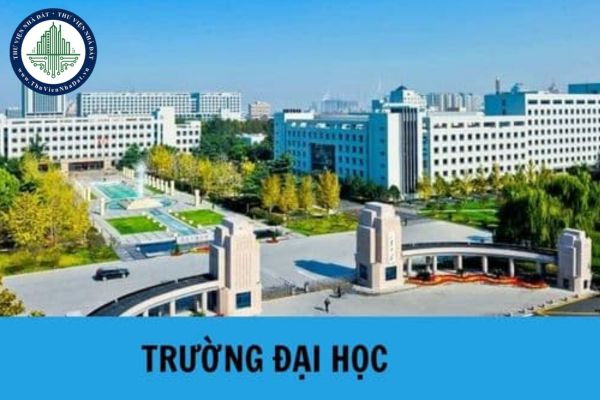 thuviennhadat.vn