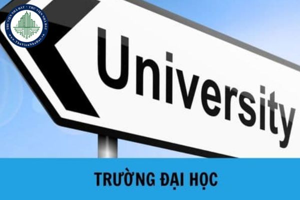 Trường đại học có cơ cấu tổ chức như thế nào? Hội đồng trường của trường đại học công lập có trách nhiệm và quyền hạn như thế nào?