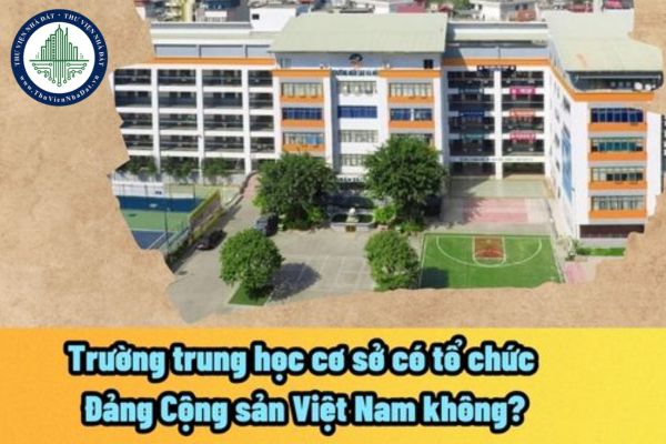 Trường trung học cơ sở có tổ chức Đảng Cộng sản Việt Nam không? Trường trung học cơ sở có loại hình công lập và tư thục không?