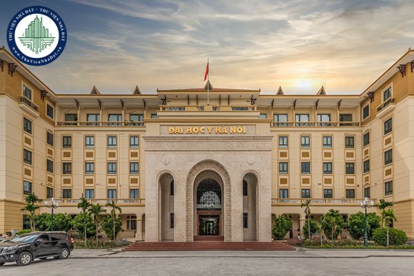 Cơ sở giáo dục đại học bị đình chỉ hoạt động của ngành đào tạo khi nào?