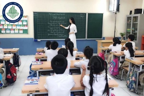 Giáo viên tiểu học hạng 2 có bắt buộc có bằng cử nhân thuộc ngành đào tạo giáo viên không?