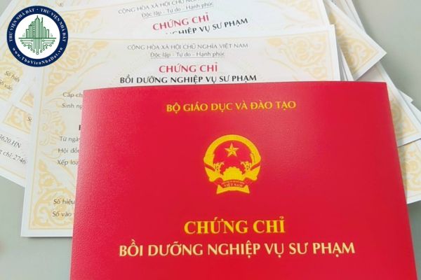 Kiến thức bắt buộc tối thiểu khi bồi dưỡng nghiệp vụ sư phạm giảng viên đại học là bao nhiêu tín chỉ?