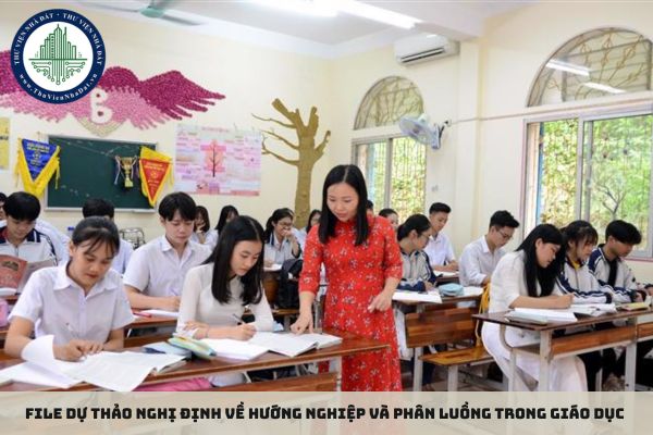 File Dự thảo Nghị định về hướng nghiệp và phân luồng trong giáo dục