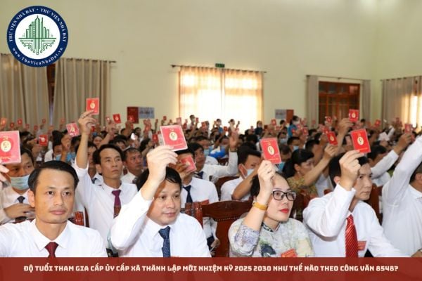 Độ tuổi tham gia cấp ủy cấp xã thành lập mới nhiệm kỳ 2025 2030 như thế nào theo Công văn 8548?