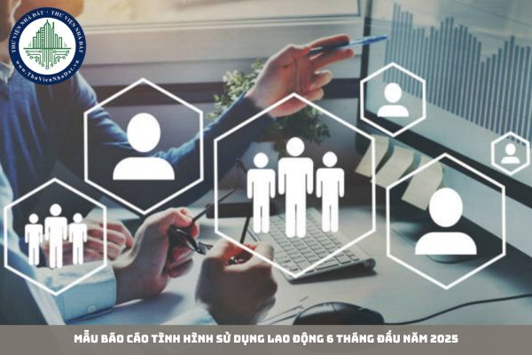 Mẫu báo cáo tình hình sử dụng lao động 6 tháng đầu năm 2025