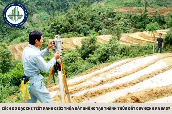 Cách đo đạc chi tiết ranh giới thửa đất không tạo thành thửa đất quy định ra sao?