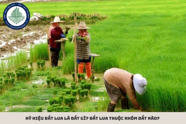 Ký hiệu đất LUA là đất gì? Đất LUA thuộc nhóm đất nào?
