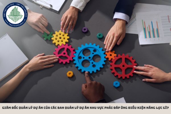 Giám đốc quản lý dự án của các Ban quản lý dự án khu vực phải đáp ứng điều kiện năng lực gì?