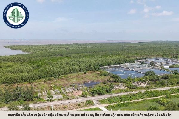 Nguyên tắc làm việc của hội đồng thẩm định hồ sơ dự án thành lập khu bảo tồn đất ngập nước là gì?