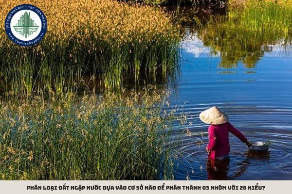 Phân loại đất ngập nước dựa vào cơ sở nào để phân thành 03 nhóm với 26 kiểu?