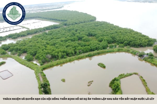 Trách nhiệm và quyền hạn của hội đồng thẩm định hồ sơ dự án thành lập khu bảo tồn đất ngập nước là gì?