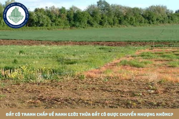 Đất có tranh chấp về ranh giới thửa đất có được chuyển nhượng không?