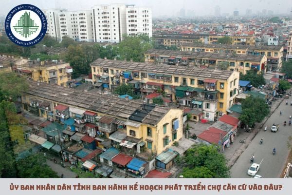 Ủy ban nhân dân tỉnh ban hành kế hoạch phát triển chợ căn cứ vào đâu?