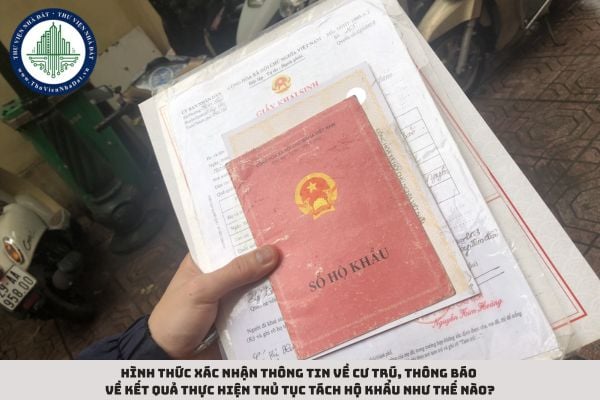 Hình thức xác nhận thông tin về cư trú, thông báo về kết quả thực hiện thủ tục tách hộ khẩu như thế nào?