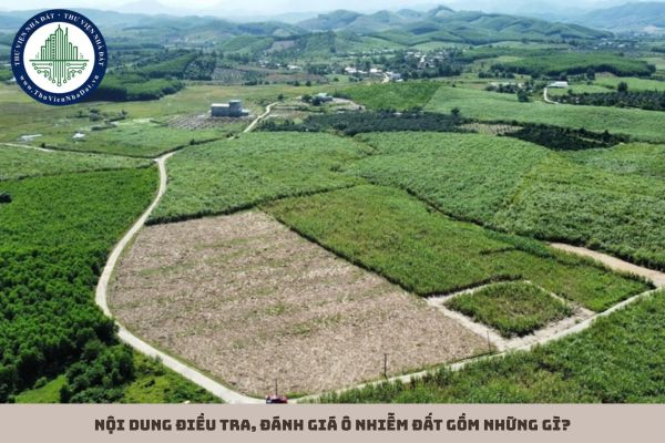 Nội dung điều tra, đánh giá ô nhiễm đất gồm những gì?