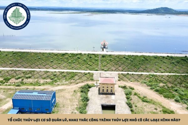 Tổ chức thủy lợi cơ sở quản lý, khai thác công trình thủy lợi nhỏ có các loại hình nào?