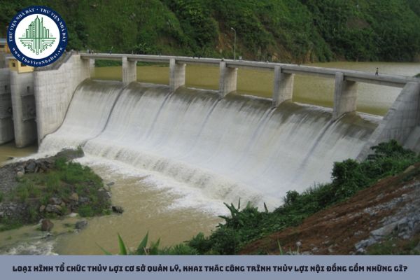 Loại hình tổ chức thủy lợi cơ sở quản lý, khai thác công trình thủy lợi nội đồng gồm những gì?