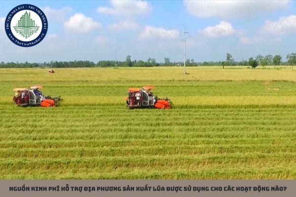Nguồn kinh phí hỗ trợ địa phương sản xuất lúa được sử dụng cho các hoạt động nào?