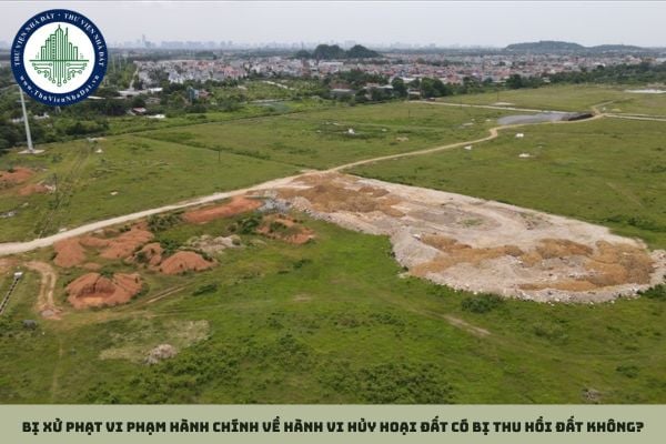 Bị xử phạt vi phạm hành chính về hành vi hủy hoại đất có bị thu hồi đất không?