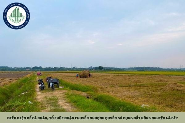 Điều kiện để cá nhân, tổ chức nhận chuyển nhượng quyền sử dụng đất nông nghiệp là gì?