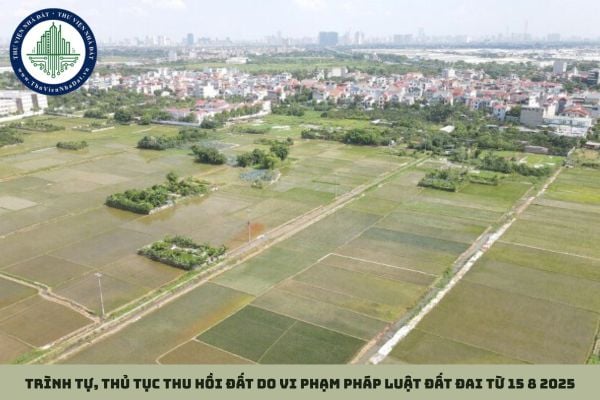 Trình tự, thủ tục thu hồi đất do vi phạm pháp luật đất đai từ 15 8 2025