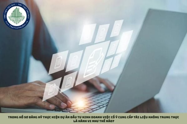 Trong hồ sơ đăng ký thực hiện dự án đầu tư kinh doanh việc cố ý cung cấp tài liệu không trung thực là hành vi như thế nào?