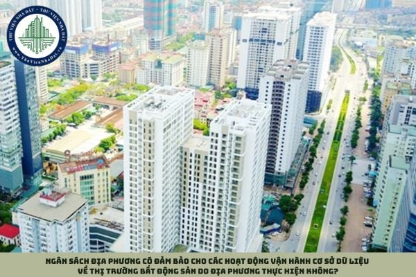 Ngân sách địa phương có đảm bảo cho các hoạt động vận hành cơ sở dữ liệu về thị trường bất động sản do địa phương thực hiện không?