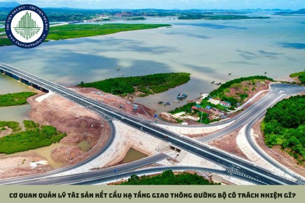 Cơ quan quản lý tài sản kết cấu hạ tầng giao thông đường bộ có trách nhiệm gì?