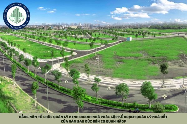 Hằng năm tổ chức quản lý kinh doanh nhà phải lập kế hoạch quản lý nhà đất của năm sau gửi đến cơ quan nào?
