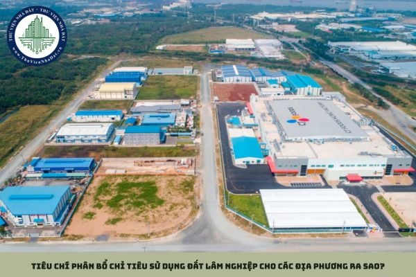 Tiêu chí phân bổ chỉ tiêu sử dụng đất lâm nghiệp cho các địa phương ra sao?