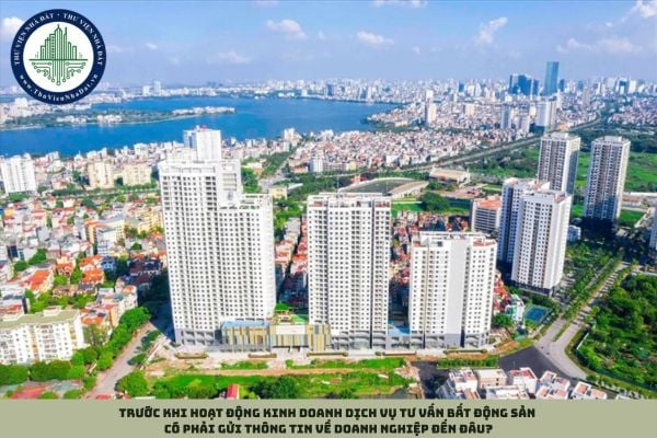 Trước khi hoạt động kinh doanh dịch vụ tư vấn bất động sản có phải gửi thông tin về doanh nghiệp đến đâu?
