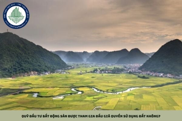 Quỹ đầu tư bất động sản được tham gia đấu giá quyền sử dụng đất không?